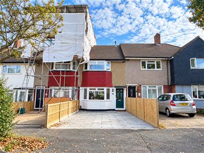 Picture 16